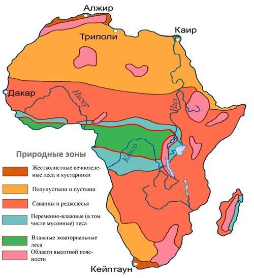 природные зоны африки таблица